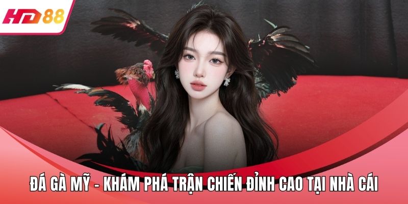 Đá Gà Mỹ - Khám Phá Trận Chiến Đỉnh Cao Tại Nhà Cái